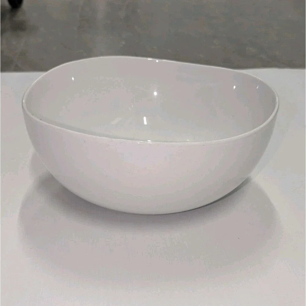 Modern Minimalist West Elm White Porcelain Serving Bowl11